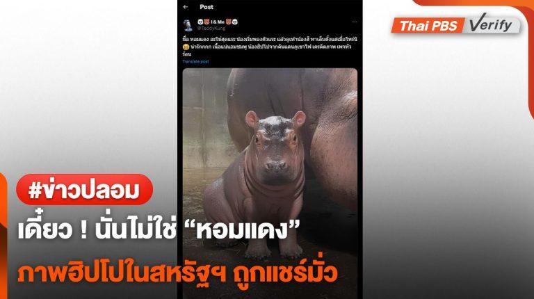 เดี๋ยว ! คนละตัว พบภาพลูกฮิปโปในสหรัฐฯ ถูกแชร์อ้างภาพ “น้องหอมแดง”