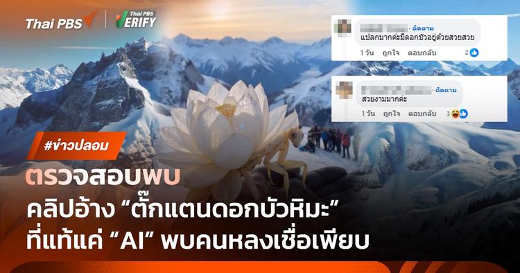 ตรวจสอบพบ : คลิป &#8220;ตั๊กแตนดอกบัวหิมะ&#8221; คนดู 10 ล้านครั้ง ที่แท้สร้างจาก AI