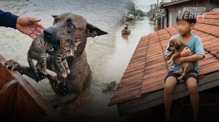 “ข่าวปลอม” กับมหันตภัย “น้ำท่วมหาดใหญ่” เมื่อโซเชียลฯ ซ้ำเติมวิกฤต