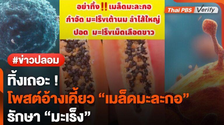 ทิ้งเถอะ อย่าเคี้ยว ! นักวิจัยถูกโพสต์อ้างเคี้ยว “เมล็ดมะละกอ” รักษามะเร็ง