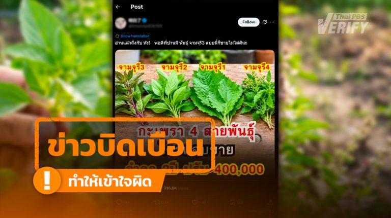 โพสต์อ้าง “ห้ามขายกะเพรา “จามจุรี” ฝ่าฝืนคุก 2 ปี ปรับ 4 แสน พบชื่อกะเพราไม่มีจริง