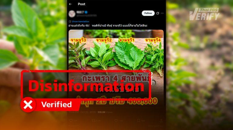 False claim on non-existent ‘Chamchuri basil’ sale ban debunked